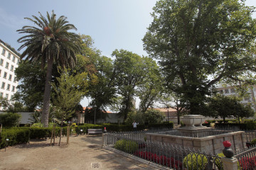 Vista del recién reabierto jardín de San Carlos, con uno de los nuevos olmos en primer plano, y los centenarios al fondo  quinta