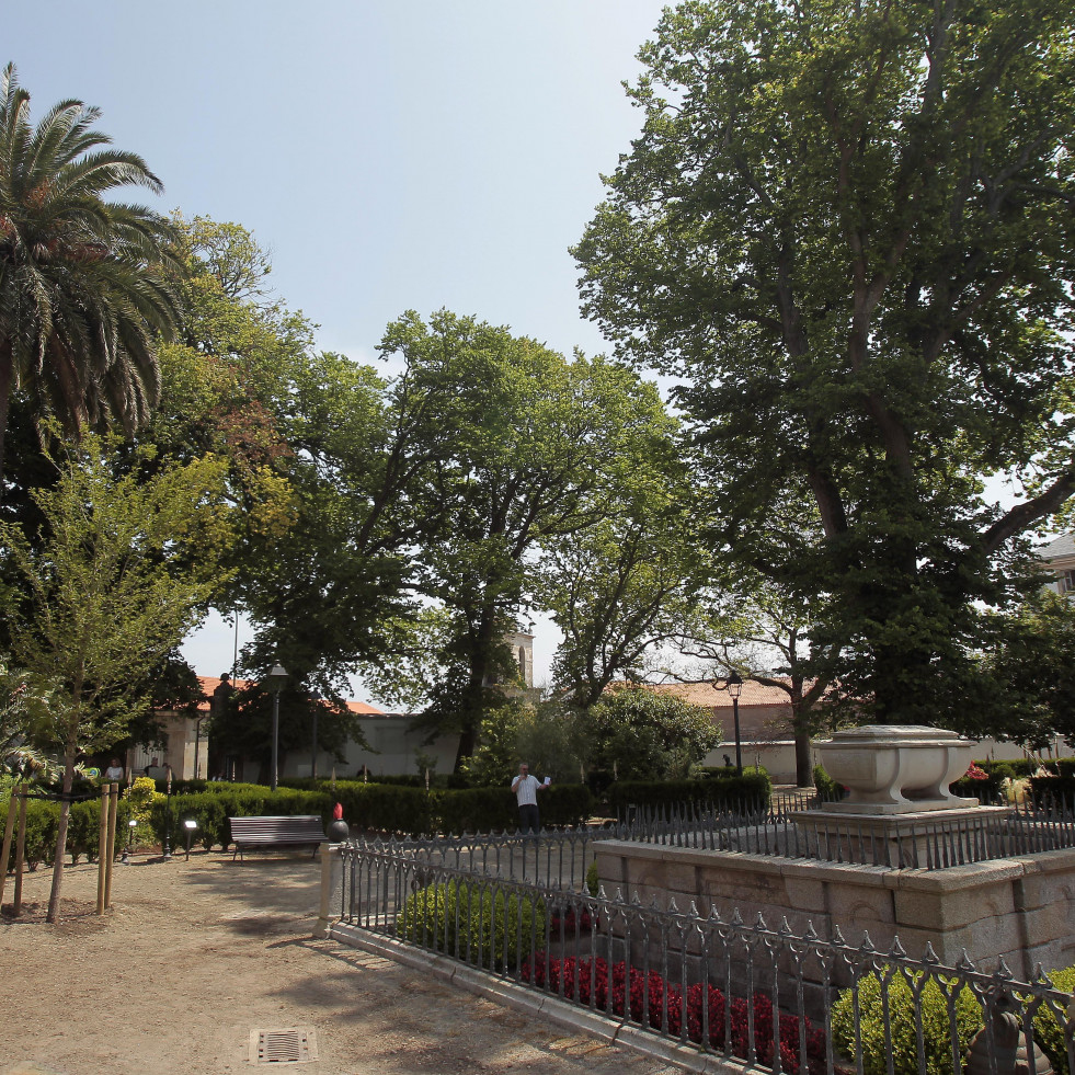 Continúa la amenaza de la grafiosis a los olmos del jardín de San Carlos en A Coruña
