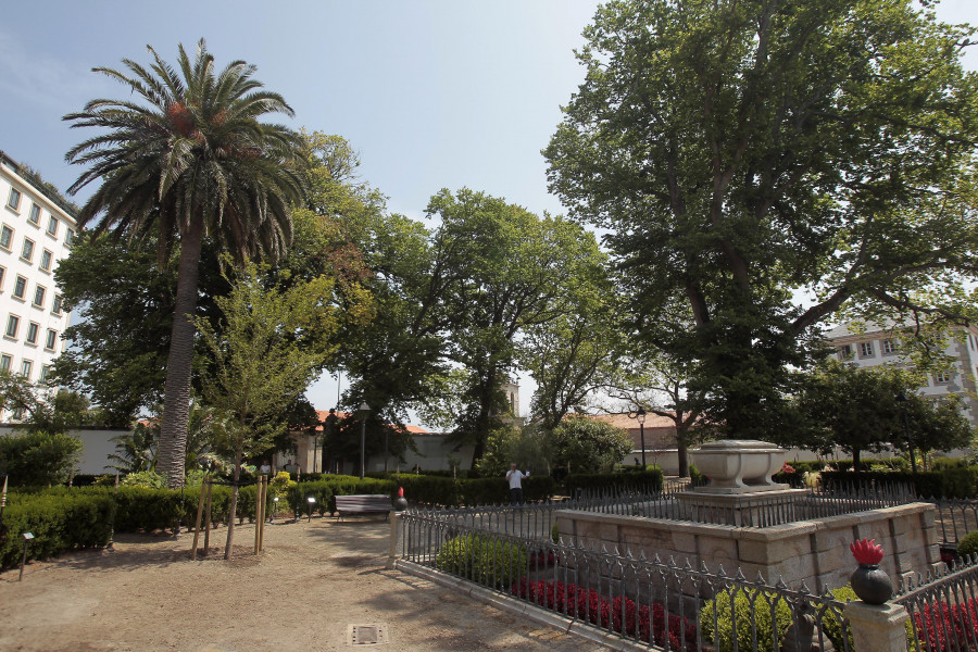 Continúa la amenaza de la grafiosis a los olmos del jardín de San Carlos en A Coruña