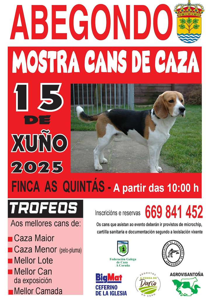 Muestra de perros de caza de Abegondo