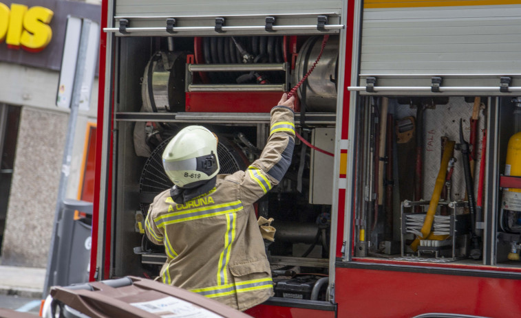Un gatito corta el tráfico en Alfonso Molina en A Coruña
