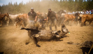 Los caballos salvajes no pudieron arrastrarme