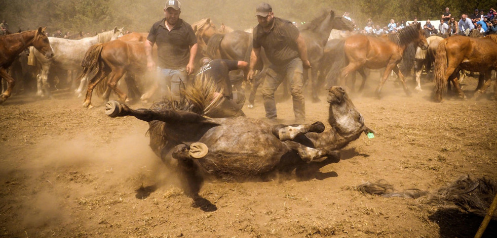 Los caballos salvajes no pudieron arrastrarme