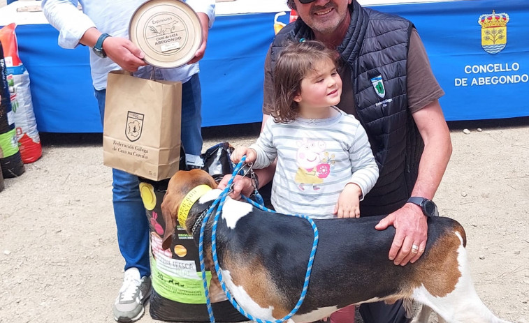 Abegondo premia a los mejores ejemplares de perros de caza