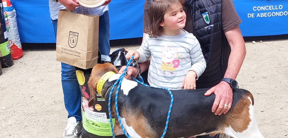Abegondo premia a los mejores ejemplares de perros de caza