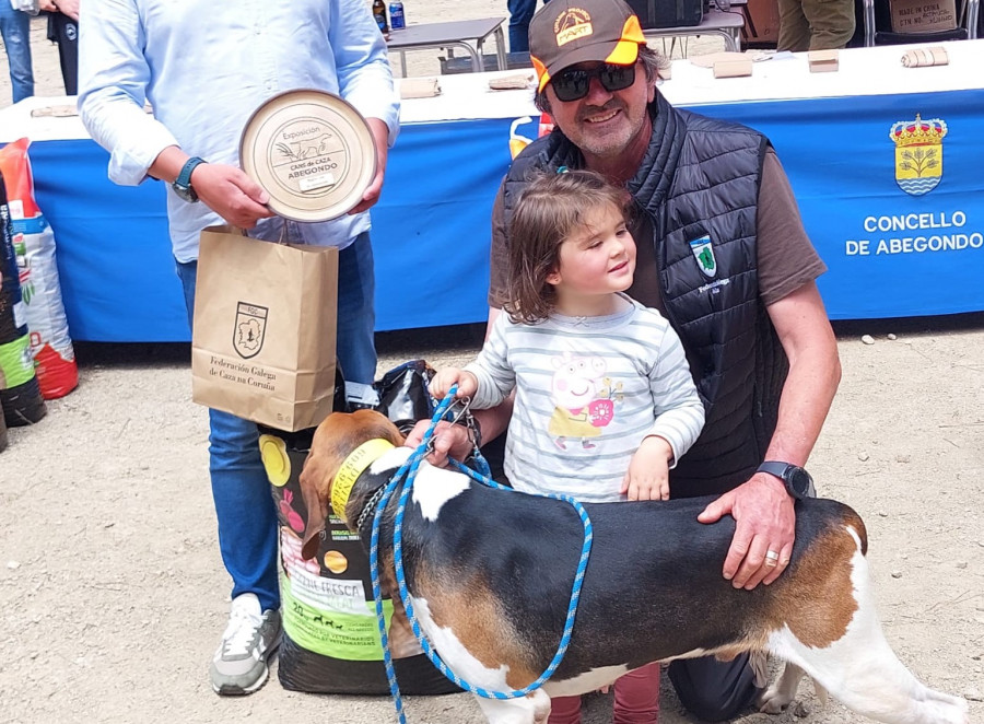 Abegondo premia a los mejores ejemplares de perros de caza