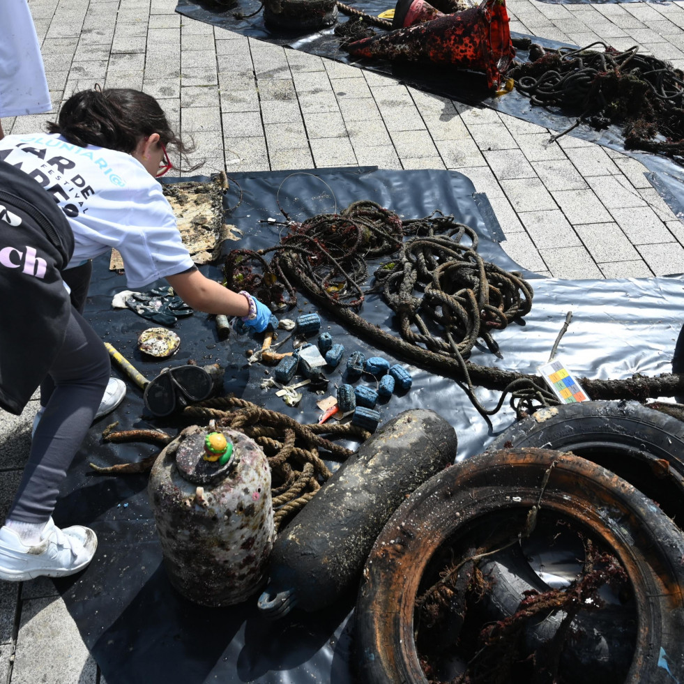 Mar de Mares se despide de su 12ª edición con una programación más científica y femenina