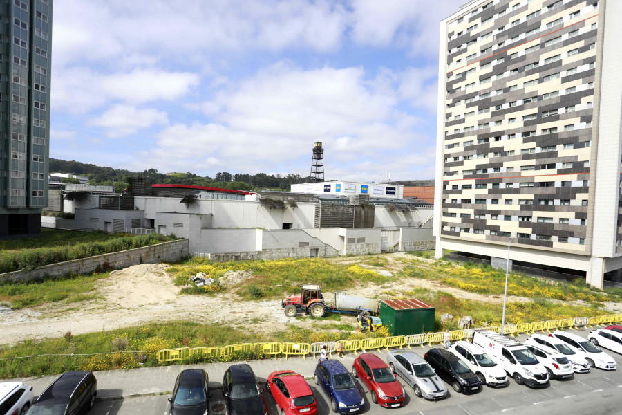 El grano verde de un barrio de A Coruña