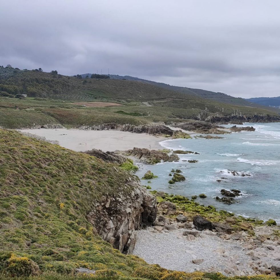 El PSOE de Arteixo exige soluciones reales para garantizar el futuro de las playas