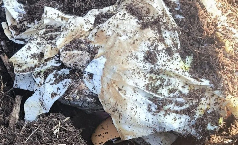 Un compostero de A Coruña se convierte en un vertedero de pañales usados