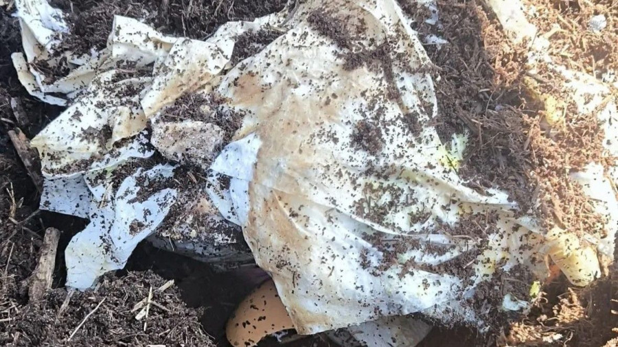 Un compostero de A Coruña se convierte en un vertedero de pañales usados