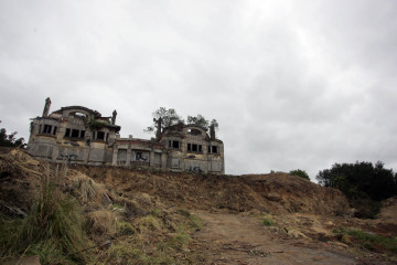 Pgcarr 18304456
