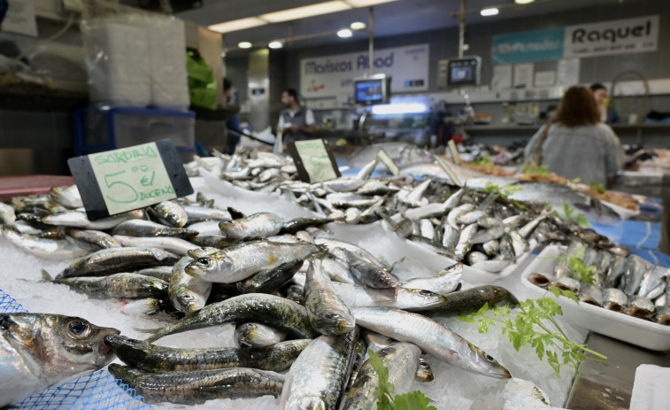 Placeros de A Coruña agotan las existencias de sardinas a 48 horas de San Juan