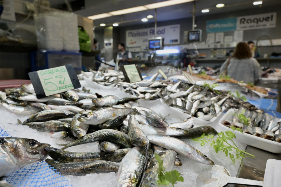 Placeros de A Coruña agotan las existencias de sardinas a 48 horas de San Juan