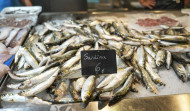 Minoristas del Puerto de A Coruña denuncian falta de organización en la pesca de sardina: 