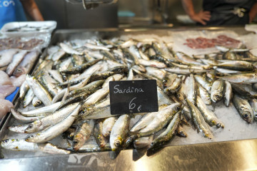 Sardinas (2)