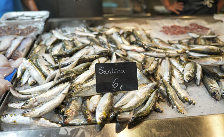 Minoristas del Puerto de A Coruña denuncian falta de organización en la pesca de sardina: 