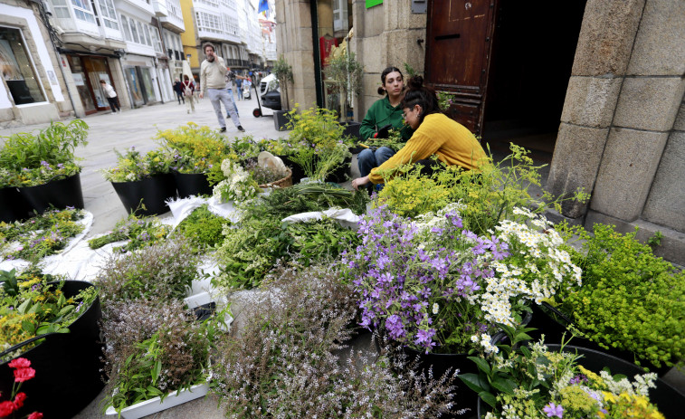 A Coruña celebra la noite meiga de San Juan