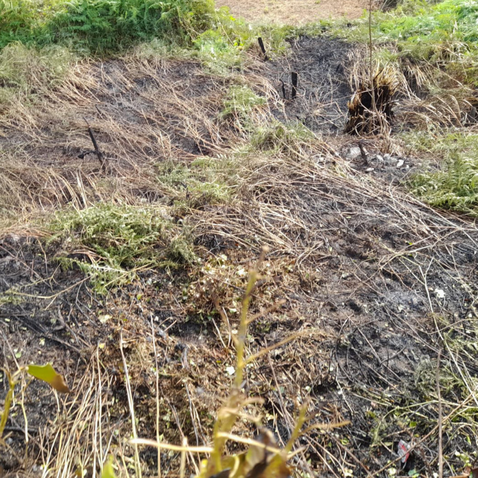 Un incendio nocturno calcina una zona de monte en Arteixo
