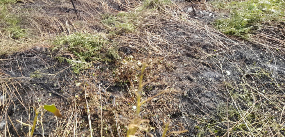 Arde una finca en Betanzos