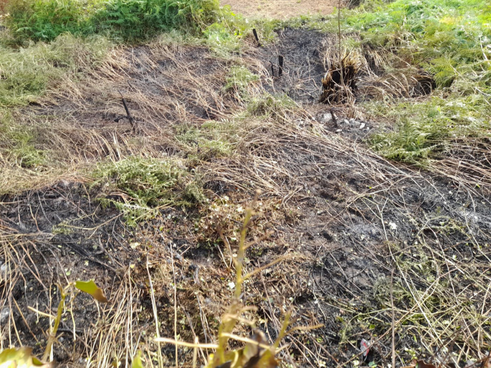 Incendio en Betanzos @ Consorcio Salvamento e Contraincendios de A Coruña