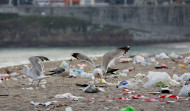A Coruña recoge 44 toneladas de basura por San Juan, trece menos que hace un año