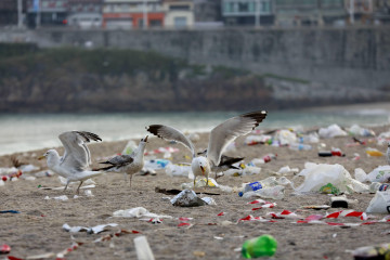 Desalojo y limpieza de las playas de A Coruña tras San Juan @ Patricia G. Fraga (15)