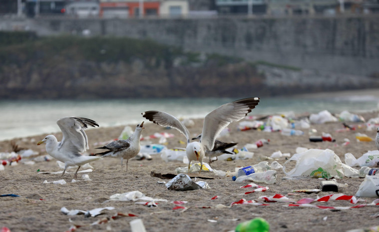 A Coruña recoge 44 toneladas de basura por San Juan, trece menos que hace un año