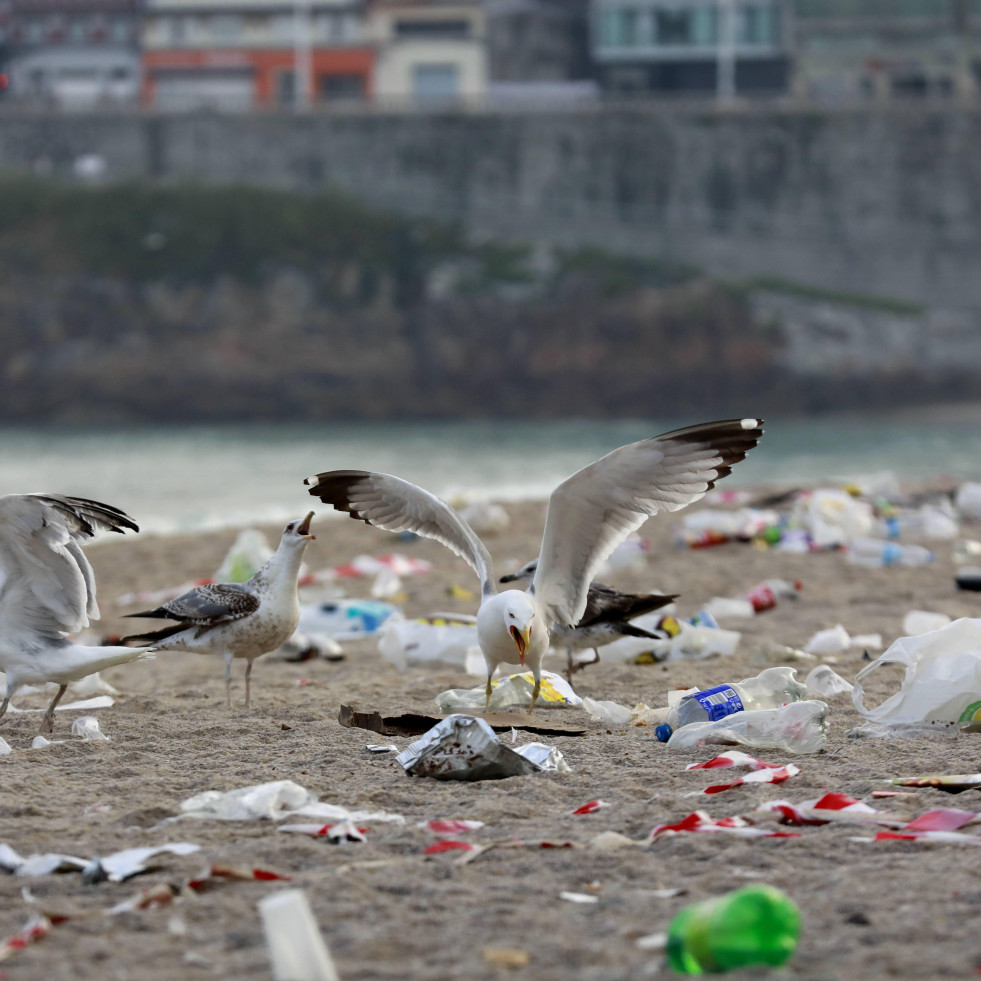 A Coruña recoge 44 toneladas de basura por San Juan, trece menos que hace un año