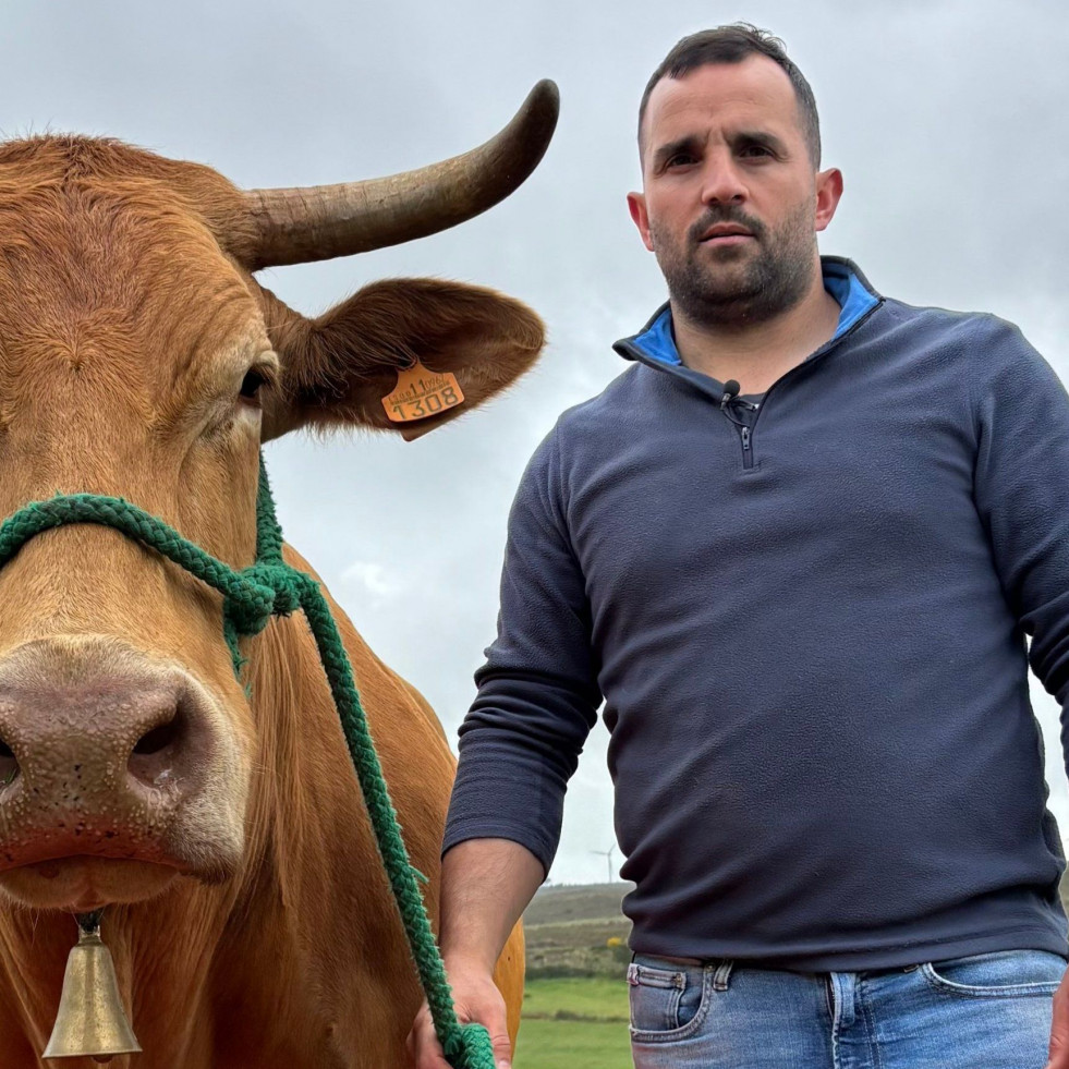 Redonda deja a A Coruña sin el premio de Miss Vaca 2025