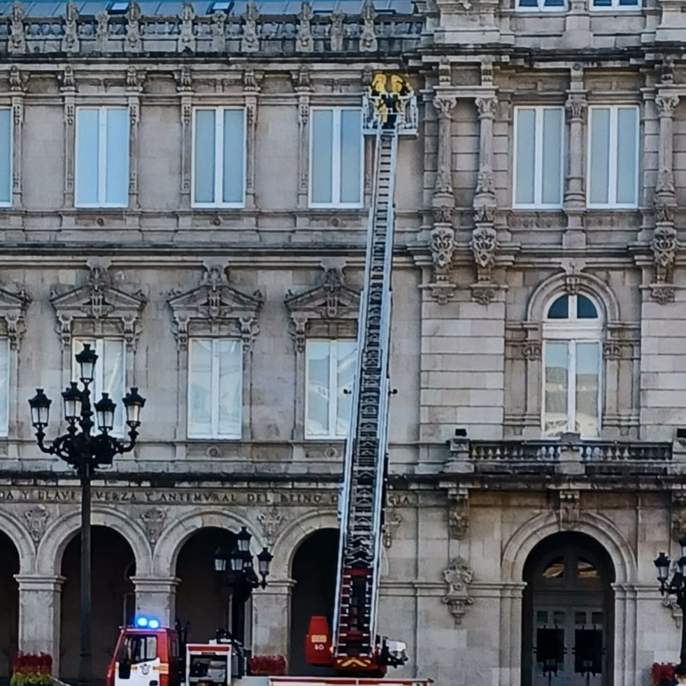 Los bomberos retiran un nido de velutinas en el Ayuntamiento de A Coruña
