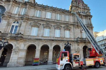 Los Bomberos retiran un nido de velutinas del Ayuntamiento de A Coruña