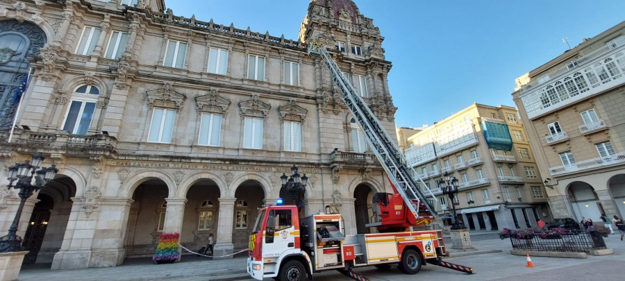 Los bomberos retiran un nido de velutinas en el Ayuntamiento de A Coruña