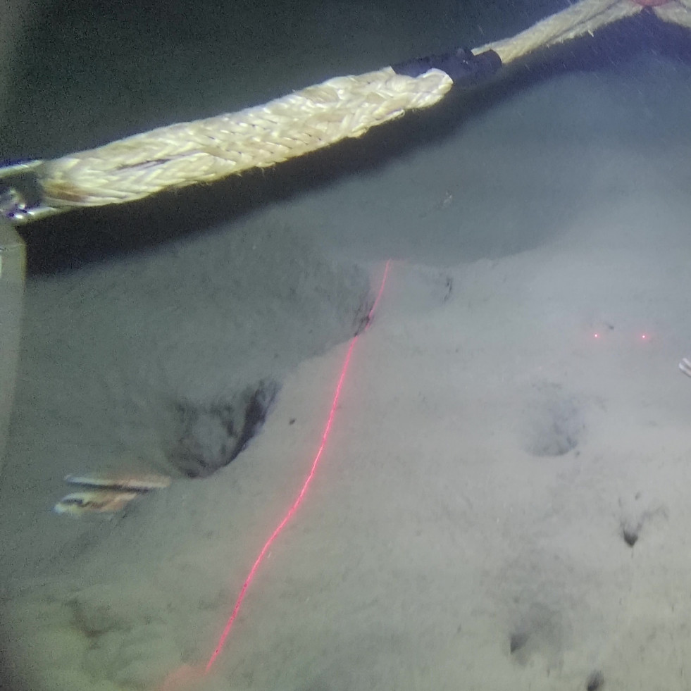 El Oceanográfico de A Coruña investiga cuánta cigala hay en la costa de Galicia