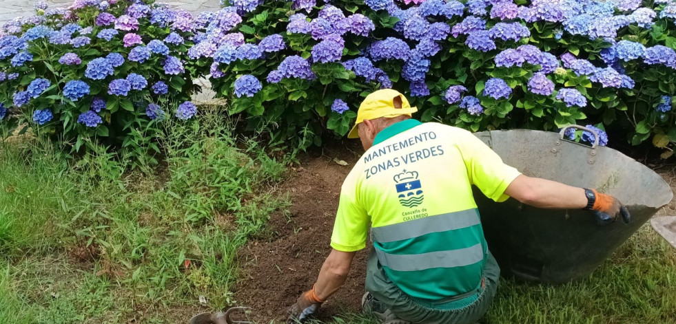 El nuevo servicio de mantenimiento de zonas verdes completa su primera semana en Culleredo