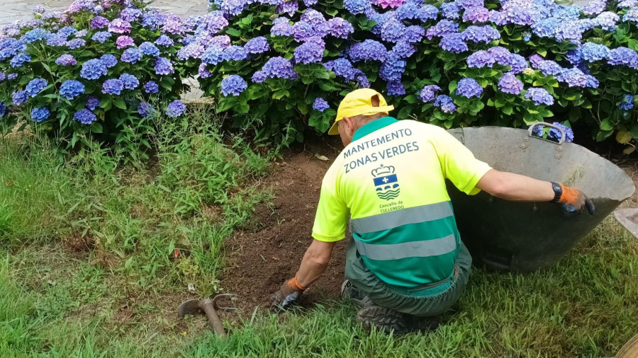 El nuevo servicio de mantenimiento de zonas verdes completa su primera semana en Culleredo