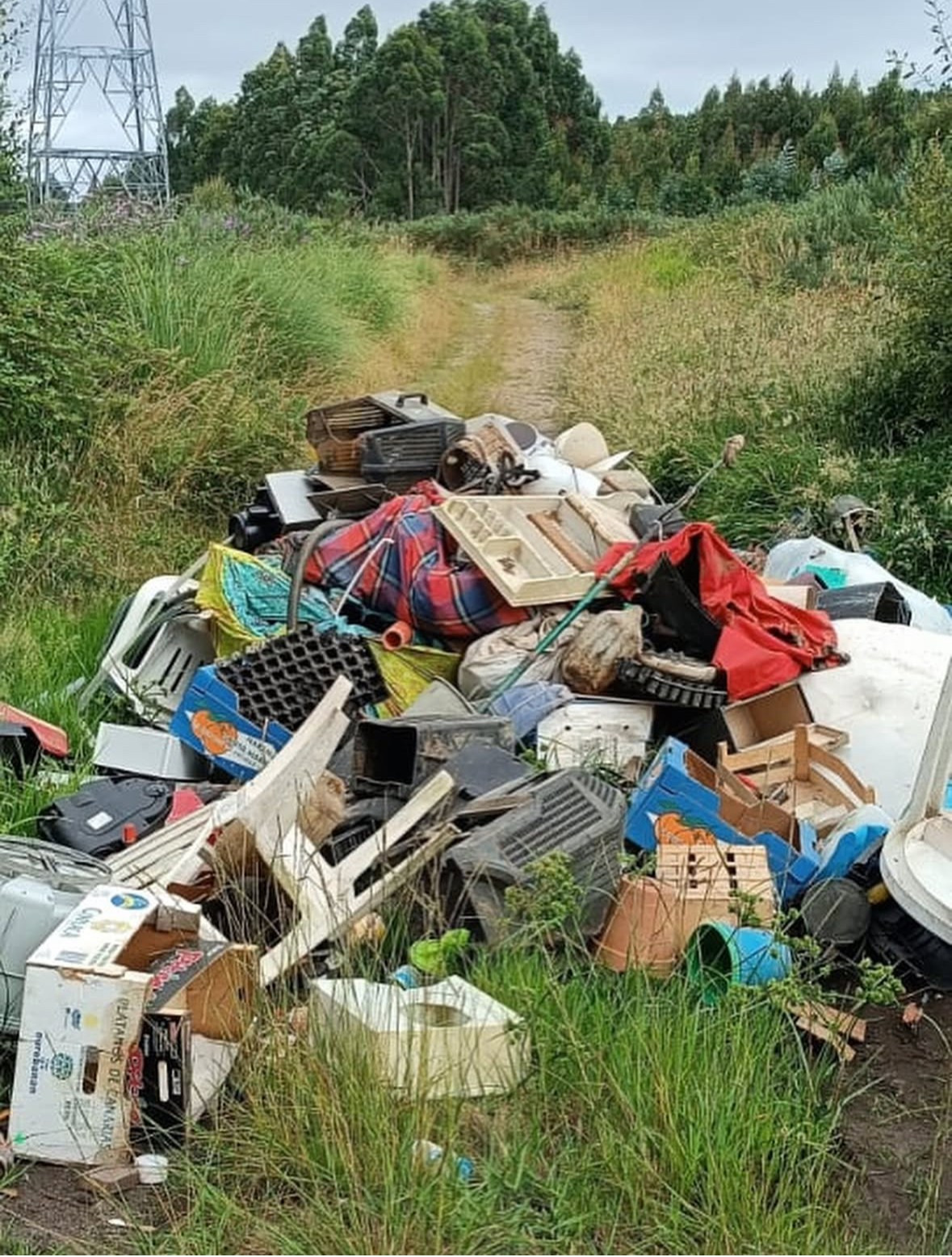 Basura2