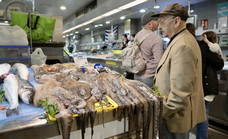 El pulpo, la “estrella del verano”, se hace de rogar en los mercados de A Coruña