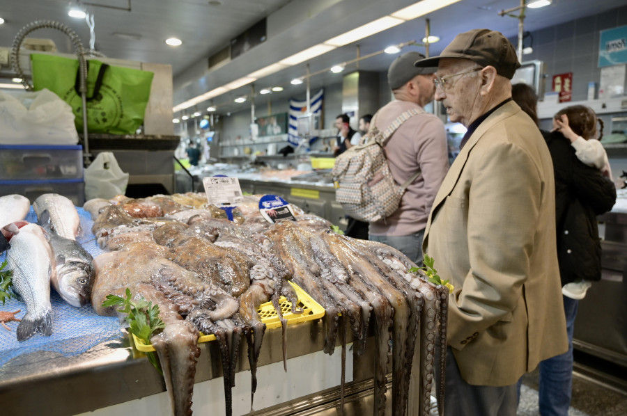 El pulpo, la “estrella del verano”, se hace de rogar en los mercados de A Coruña