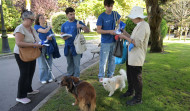 El primer día de la campaña contra los excrementos de perros en las calles de A Coruña acaba sin multas