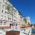 Árboles Casas de Franco