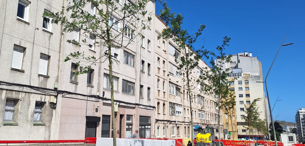 El entorno de las Casas de Franco se tiñe de verde