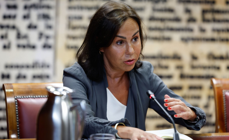 El juez investiga si Pardo de Vera cometió hasta cinco delitos en adjudicaciones irregulares
