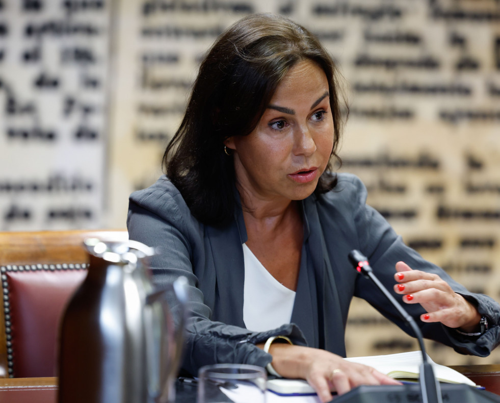 Pardo de Vera comparece ante la comision de investigacion del Senado