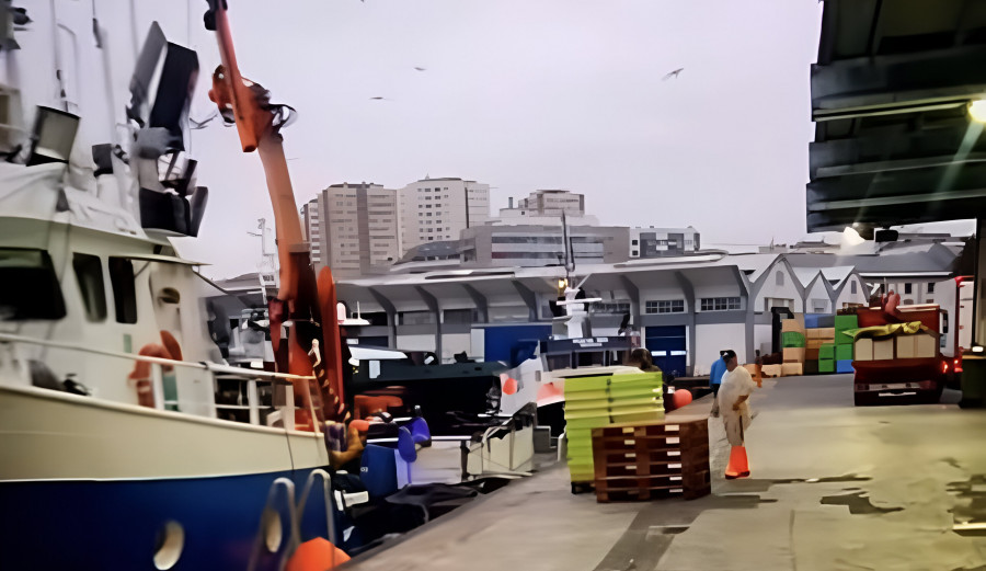 El muelle de A Coruña: madrugón, descarga de barcos y una nube de gaviotas al acecho
