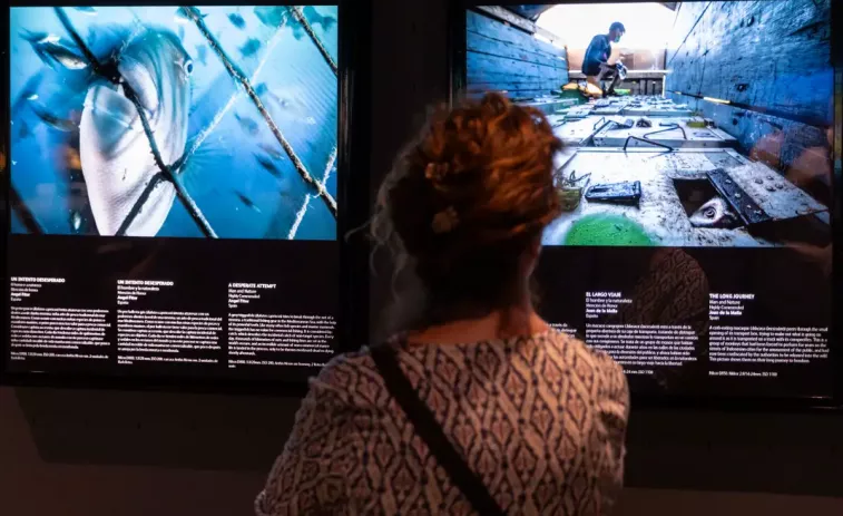 El Aquarium Finisterrae inaugura la exposición ‘Fotógrafos de la Naturaleza 2025’