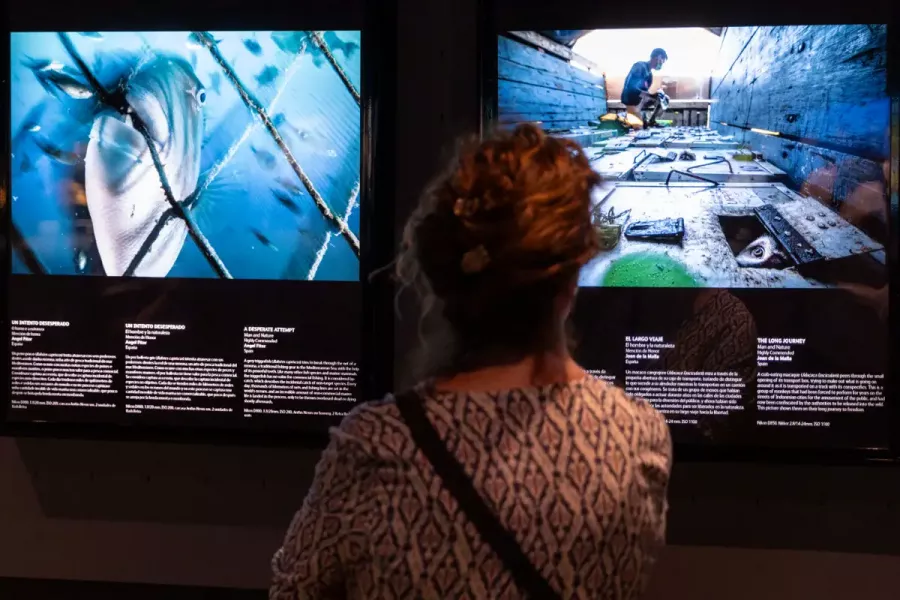 El Aquarium Finisterrae inaugura la exposición ‘Fotógrafos de la Naturaleza 2025’