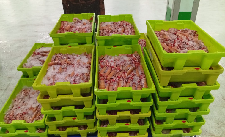 Paran a una furgoneta que llevaba a A Coruña 280 kilos de cigalas sin documentación