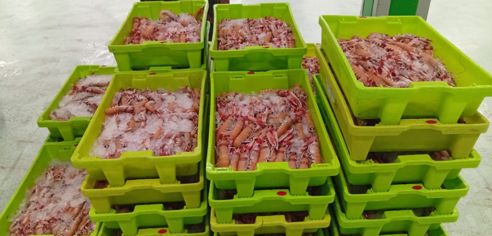 Paran a una furgoneta que llevaba a A Coruña 280 kilos de cigalas sin documentación
