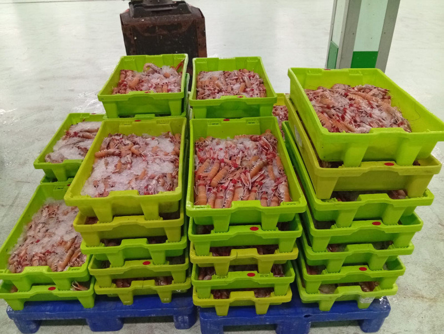 Paran a una furgoneta que llevaba a A Coruña 280 kilos de cigalas sin documentación